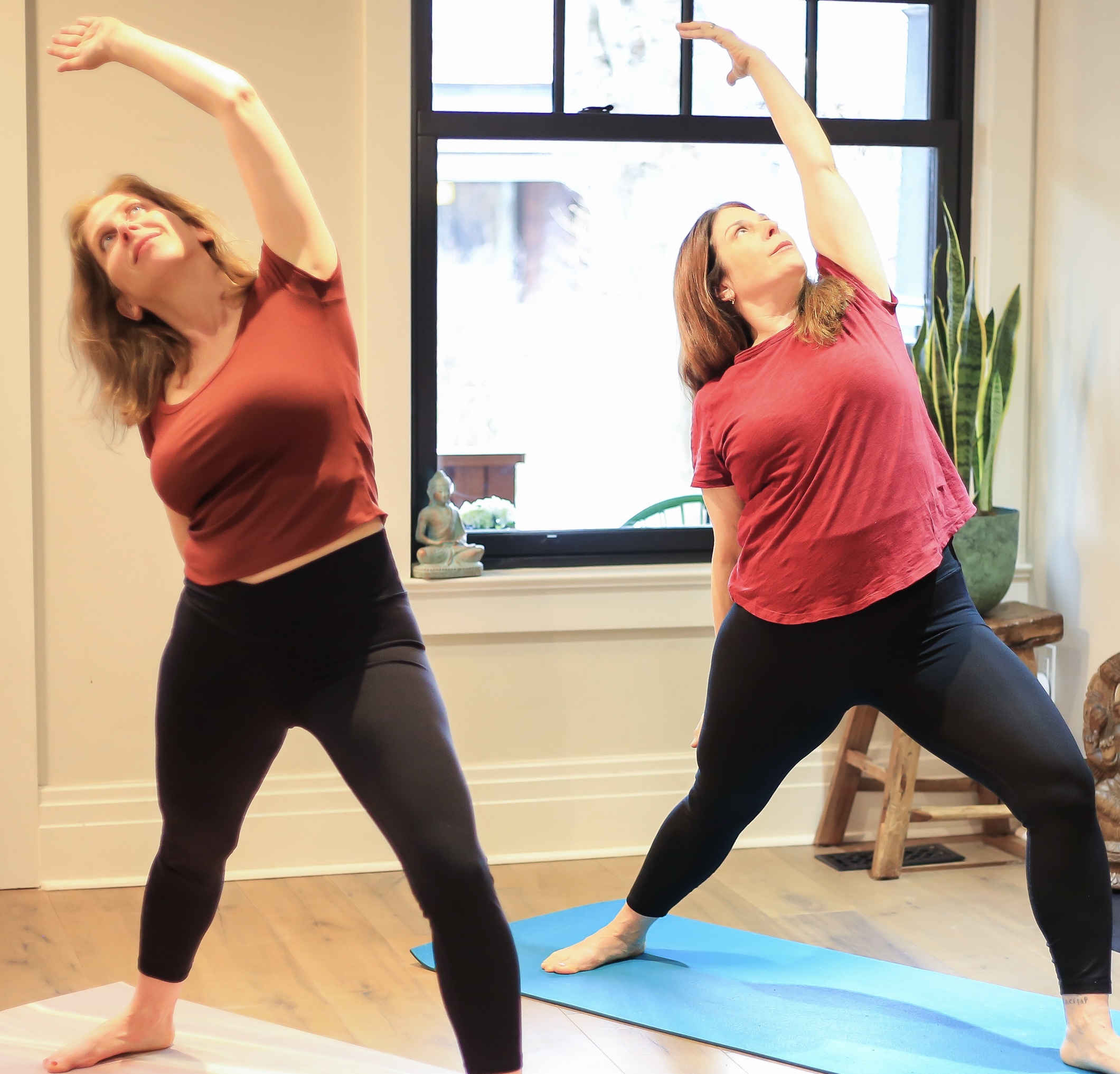 Meno Yogis